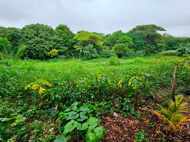Terreno en venta en Las Jagüitas - ID 14490 - Imagen 4