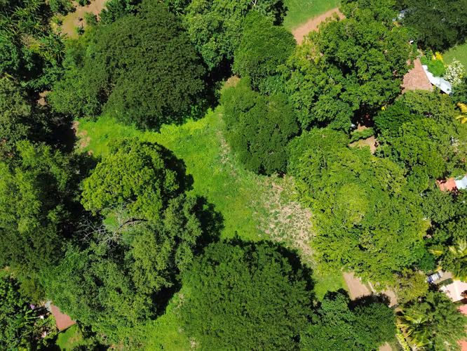 Terreno en venta en comarca los madrigales, veracruz, nindiri