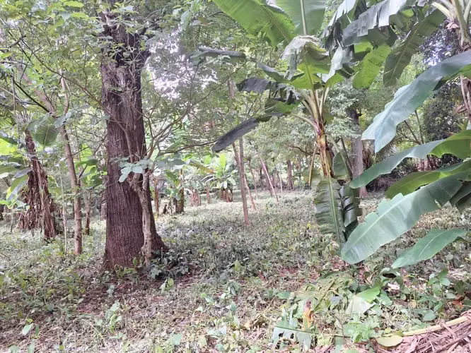 Venta de terreno