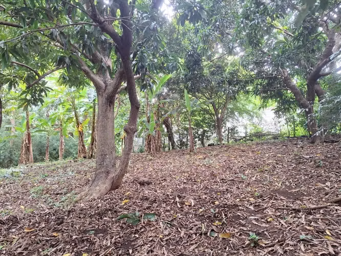 Venta de terreno