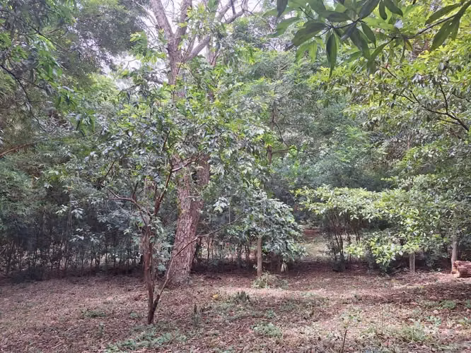 Venta de terreno