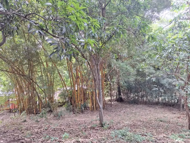 Venta de terreno