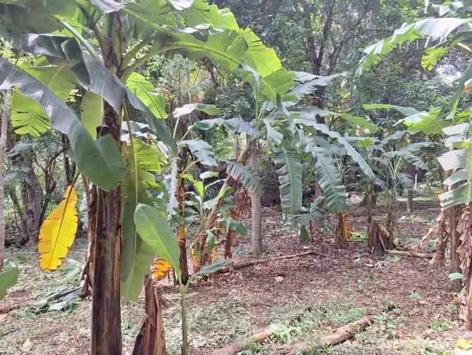 Venta de terreno