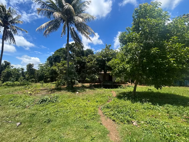 IM- Finca de 20 manzanas a la orilla de adoquinado en Masatepe