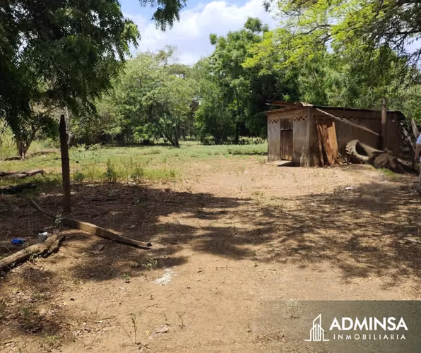 Oportunidad Agropecuaria en Tisma