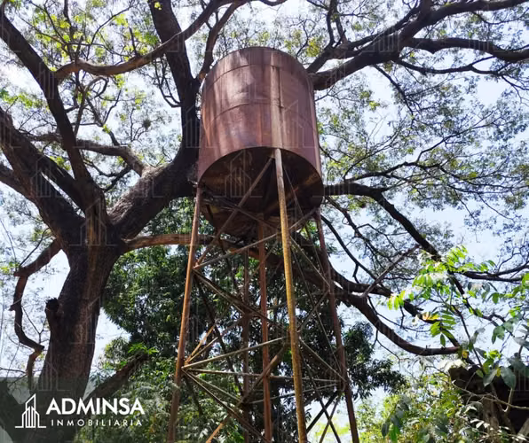 Oportunidad Agropecuaria en Tisma