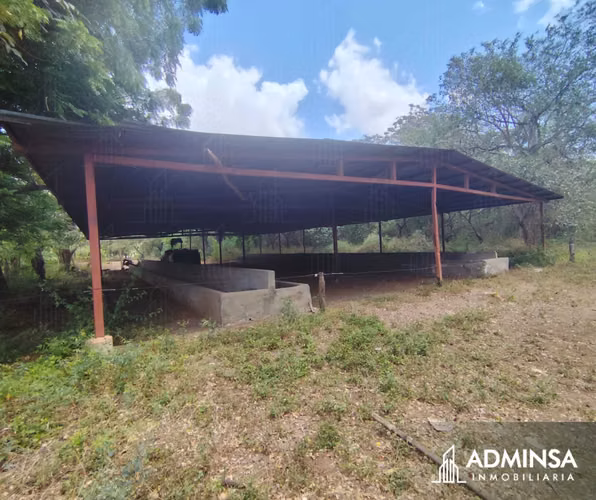 Oportunidad Agropecuaria en Tisma