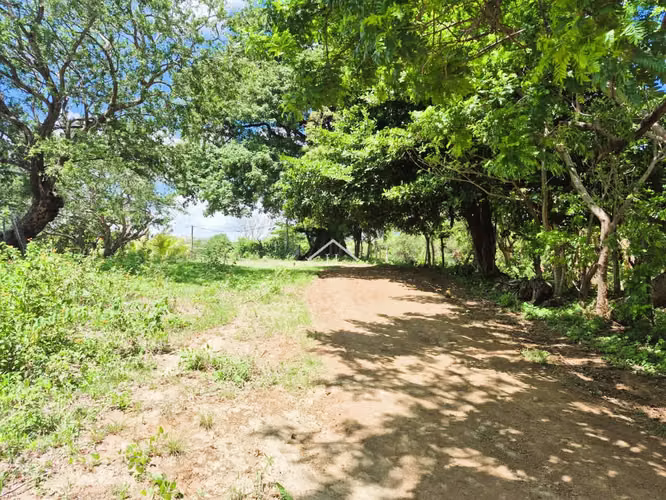 LL - Se Vende Terreno en San Isidro de la Cruz Verde - Imagen 20