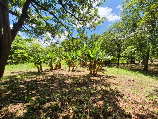 LL - Se Vende Terreno en San Isidro de la Cruz Verde - Imagen 8