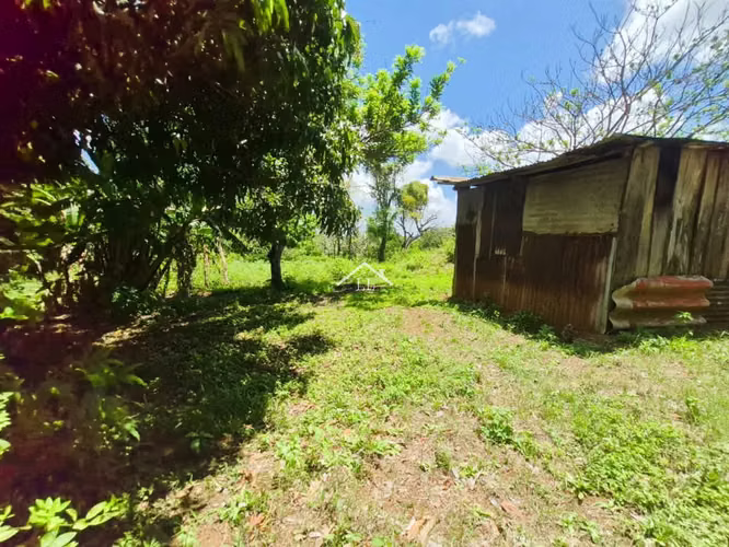 LL - Se Vende Terreno en San Isidro de la Cruz Verde - Imagen 4