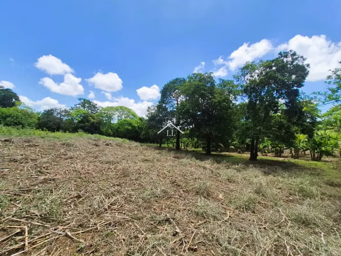 LL - Se Vende Terreno en San Isidro de la Cruz Verde - Imagen 2
