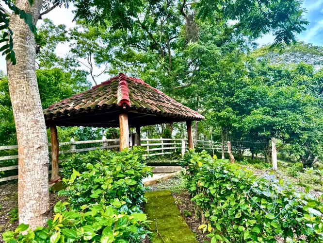 Casa en Venta en las Afueras del Este de San Juan del Sur – US$220,000 (Antes US$289,000)