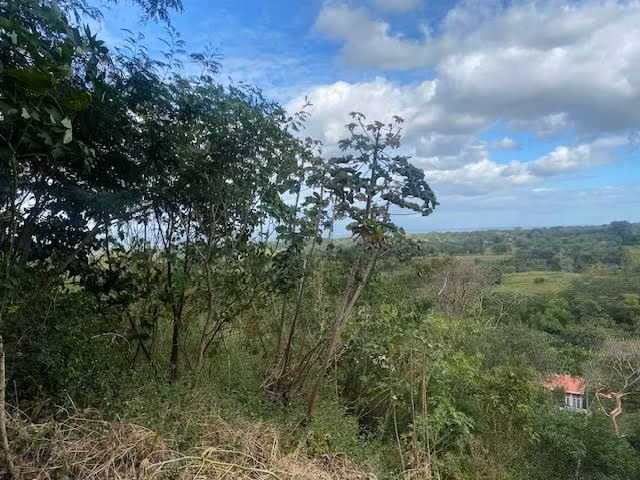 CCA 0293 JL - Imagen 2