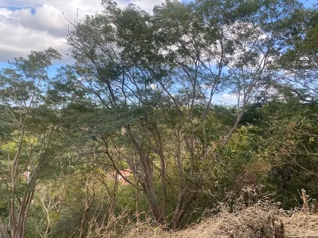 CCA 0293 JL - Imagen 11