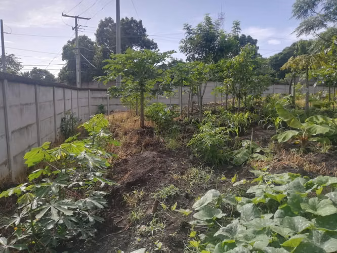 Se vende lindo Lote esquinero en Ticuantepe - Imagen 7