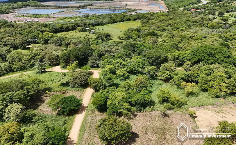 Affordable Residential Lot in Playa Guasacate | La Jolla Lot 17