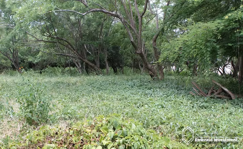 Affordable Residential Lot in Playa Guasacate | La Jolla Lot 17