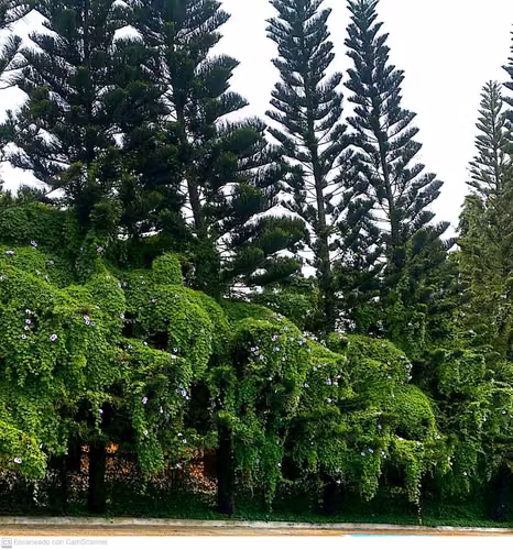 CENTRO RECREATIVO EN VENTA