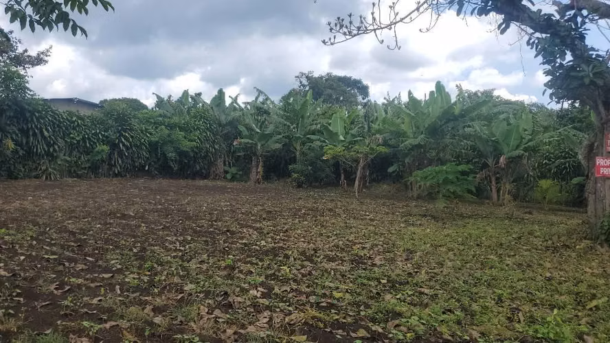 Terreno en Jinotepe - Imagen 6
