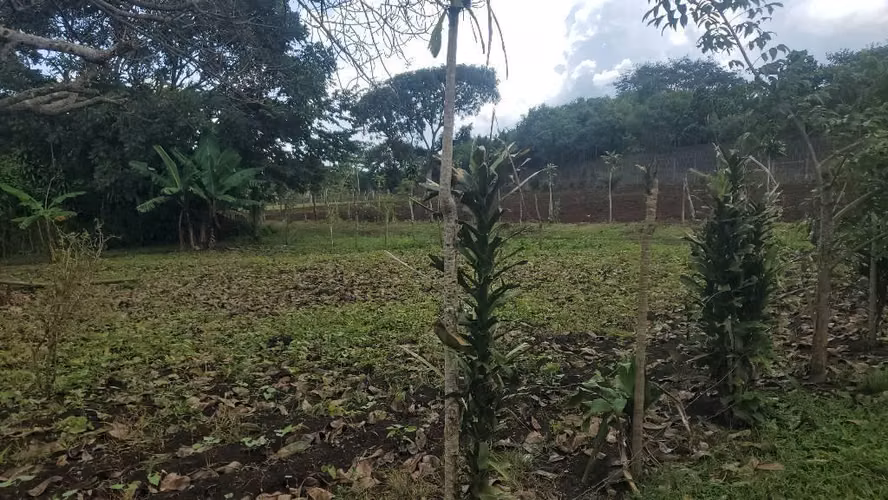 Terreno en Jinotepe - Imagen 8