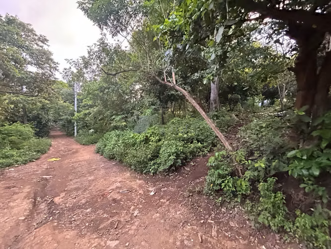 STO 1538 TN   Terreno en venta a 100 mts de Galeria y a 100 mts de Viejo Santo Domingo - Imagen 14