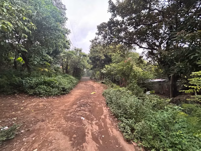 STO 1538 TN   Terreno en venta a 100 mts de Galeria y a 100 mts de Viejo Santo Domingo - Imagen 5