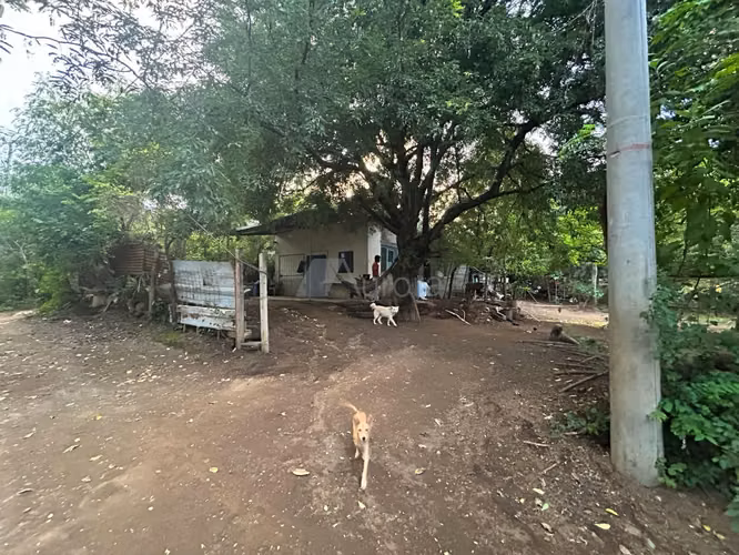 STO 1538 TN   Terreno en venta a 100 mts de Galeria y a 100 mts de Viejo Santo Domingo - Imagen 13