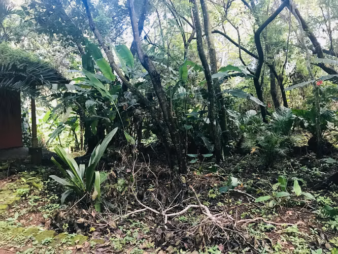 Hermoso terreno con vista en Mombacho