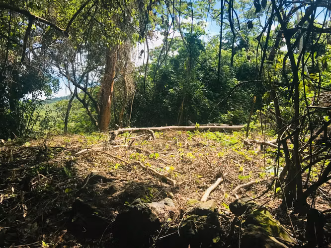 Hermoso terreno con vista en Mombacho