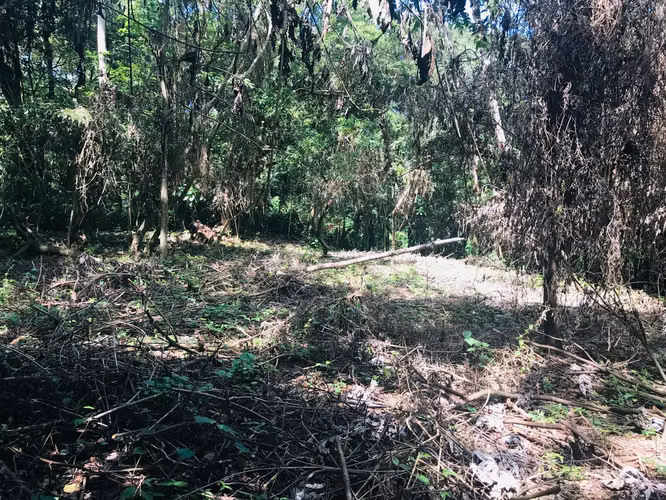 Hermoso terreno con vista en Mombacho