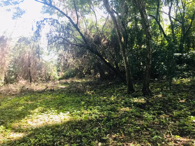 Hermoso terreno con vista en Mombacho
