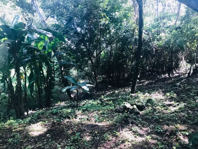 Hermoso terreno con vista en Mombacho