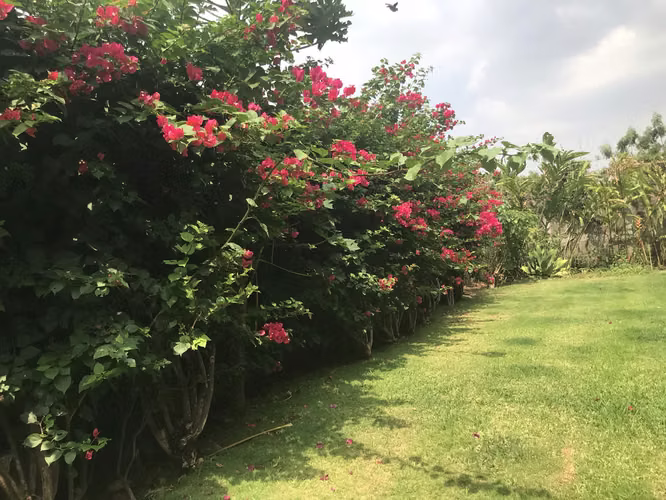 Preciosa casa en un lugar tranquilo y limpio de Managua. - Imagen 17