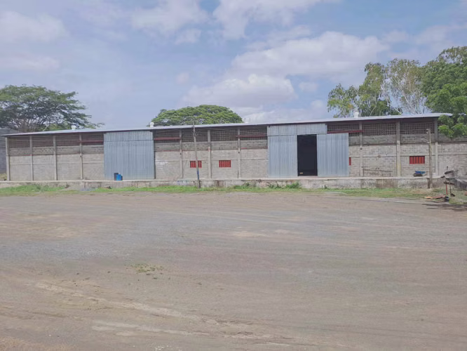 1,650 Mtr2 de Bodega almacenamiento pista Carretera Norte - Imagen 15