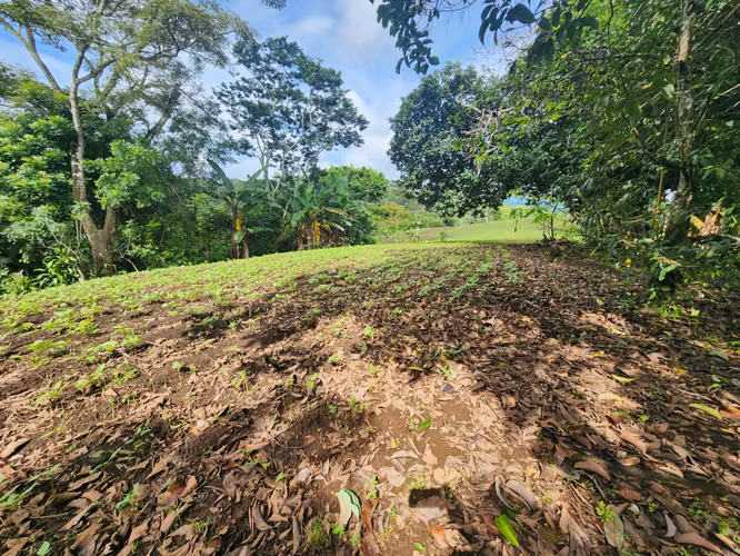 VENTA DE FINCA EN MASATEPE DE 5 MZ.