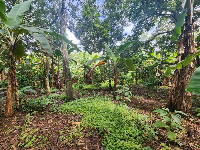 VENTA DE FINCA EN MASATEPE DE 5 MZ.