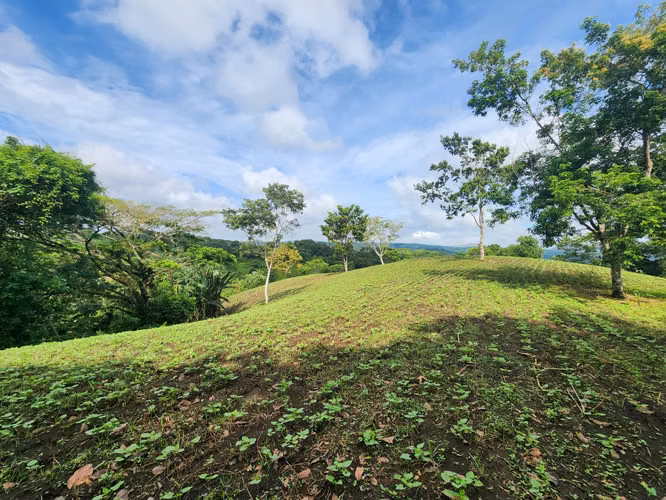 VENTA DE FINCA EN MASATEPE DE 5 MZ.