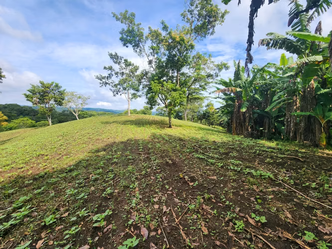 VENTA DE FINCA EN MASATEPE DE 5 MZ.
