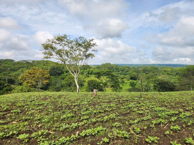 VENTA DE FINCA EN MASATEPE DE 5 MZ.
