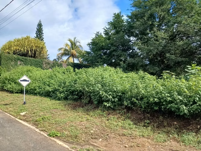 Se Vende Terreno de 5,000 vrs² — Colinas de Santa Cruz, Las Colinas $265,000 - Imagen 2