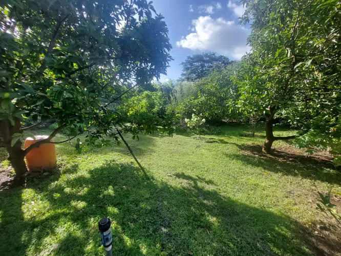 JPG 0324 CH