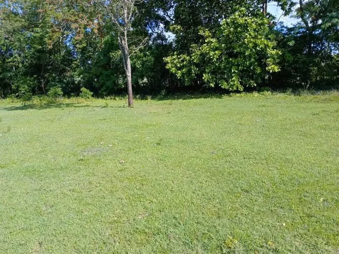 Terreno en santa Teresa