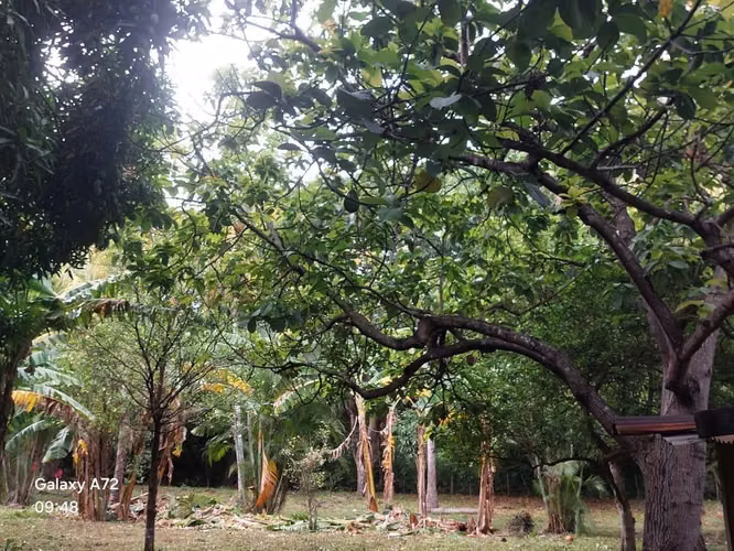 COMARCA CEDRO GALÁN / U$200,000 - Imagen 3