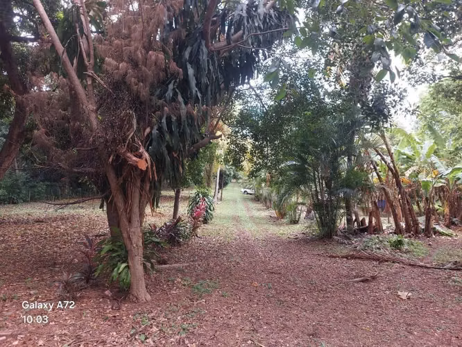 COMARCA CEDRO GALÁN / U$200,000 - Imagen 5