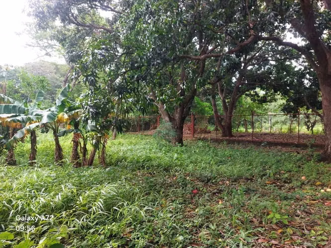 COMARCA CEDRO GALÁN / U$200,000 - Imagen 2