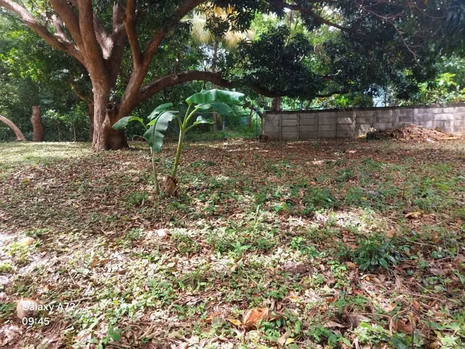 COMARCA CEDRO GALÁN / U$200,000 - Imagen 4