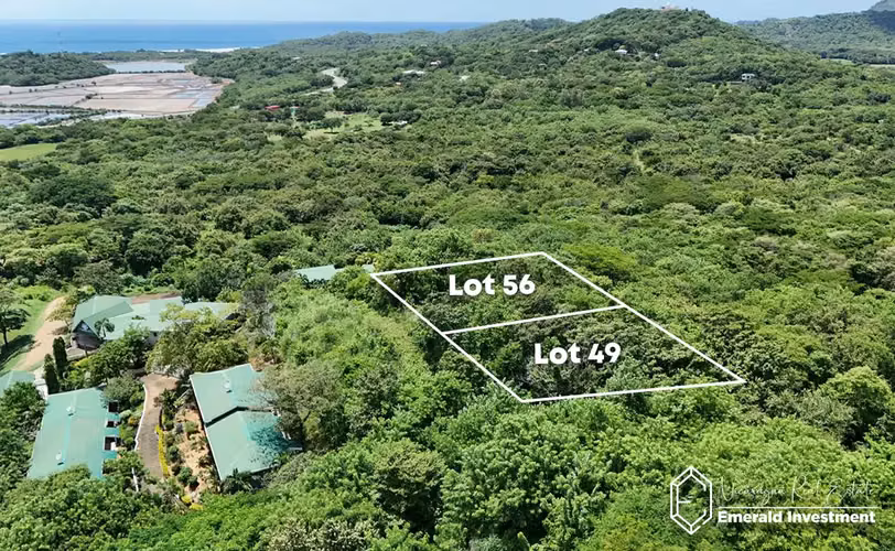Ocean View Double Lot in La Jolla Guasacate