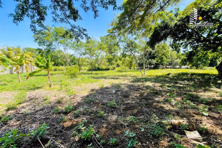 Terrenos en Venta – Km 18 Carretera Masaya - DC - Imagen 3