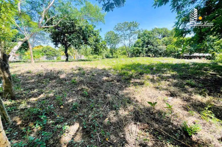 Terrenos en Venta – Km 18 Carretera Masaya - DC - Imagen 4
