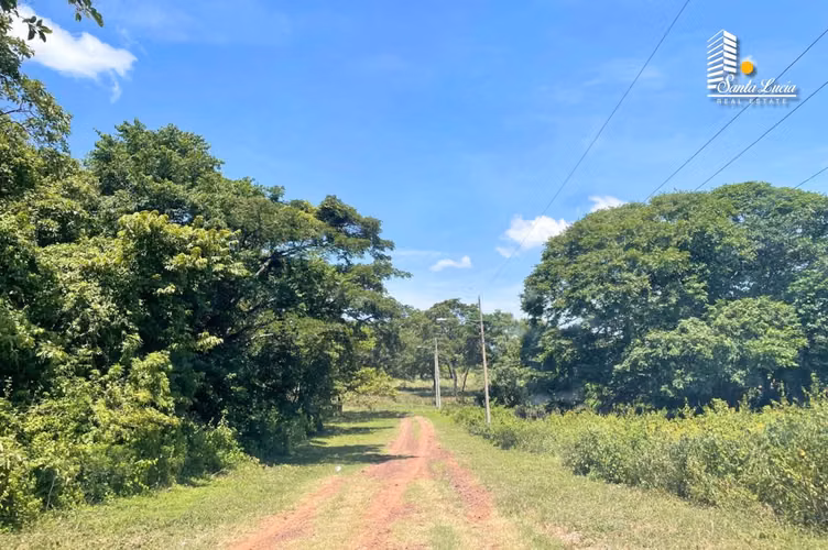 Terrenos en Venta – Km 18 Carretera Masaya - DC - Imagen 2